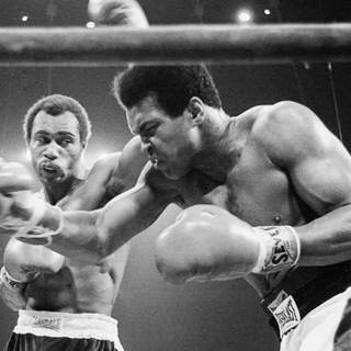 Boxing Bets