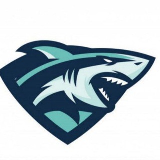 Shark 1XBET