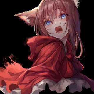 大熊云☁️