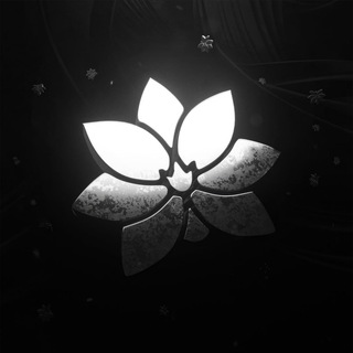 Blume Visuals