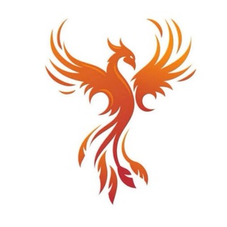 Phoenix Store | Переходник