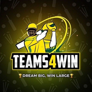 TEAMS4WIN (CRICVIBES)