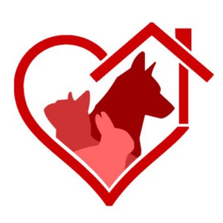 Mascotas Adopción