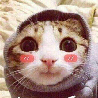fbdawanjia 频道