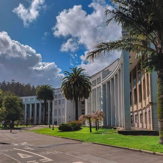 Concepción Chile 🌱