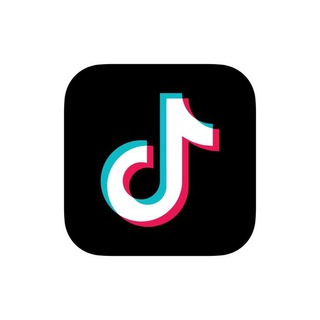PENDEJAS TIKTOK 👑