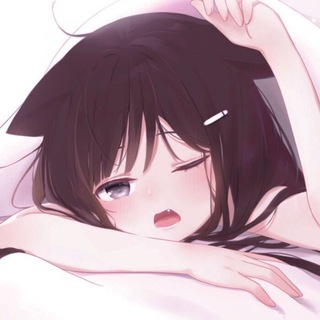 抖音风合集