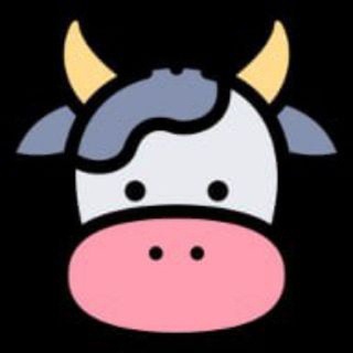 小牛VPN官方频道—Official