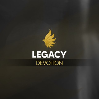 Phoenix | Legacy & Neon