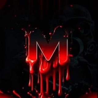 meat.gg | Проект игровых серверов
