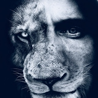 LION Media