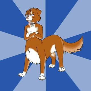 FA taurs