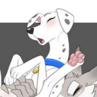 Bestiality