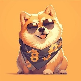🐶🔥 POM CTO ( POWER OF MEME)
