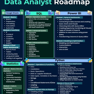 Data Analyst
