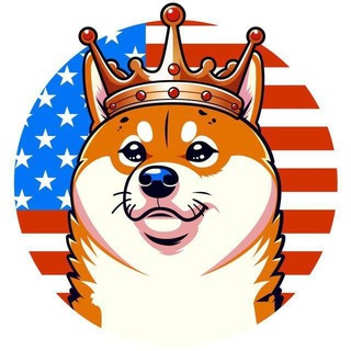 VoteDoge Portal