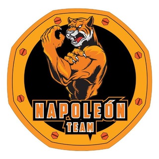 Napoleon Team