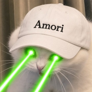 sad cat