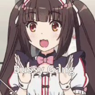 ENTER THE BUSSY