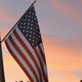 USA Database