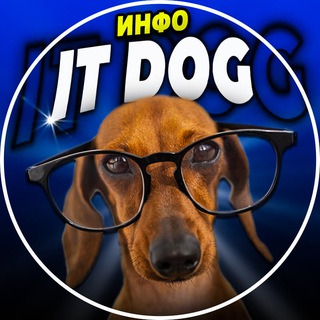 IT Dog | INFO