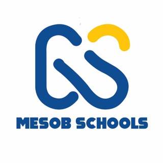 Mesob Schools