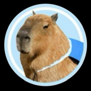 Capybara