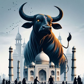 Mumbai Live