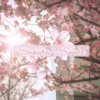 🌸Sakura Project ✨