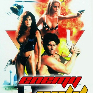 (18+) Enemy Gold (1994) Hindi