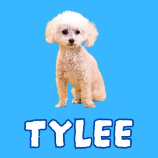 Tylee | Gamestop CEO dog