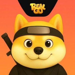 RealGo Official Chat ✔