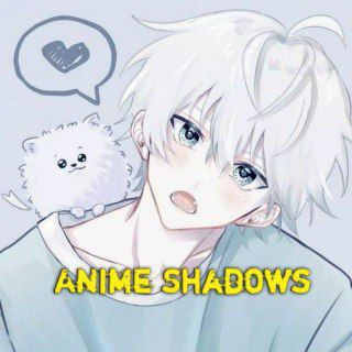 Anime Shadows • Solo Leveling