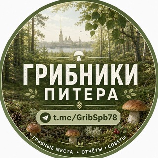 🌲 Грибы и Грибники Питера / Спб / Карелии / Лен. Области (Отчеты) | Лес | Природа
