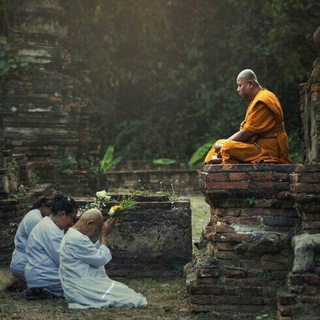 Buddha Dharma books