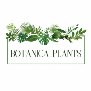 Botanica_plants