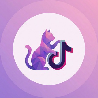 TikTok Hack