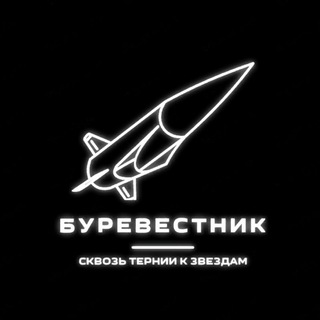 Буревестник Arma 3
