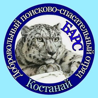 Добровольный поисково-спасательный отряд "Барс "