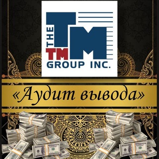TM393«Аудит вывода»