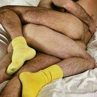 gay brazil