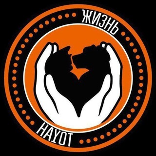 Группа помощи для собачек приюта Хаёт