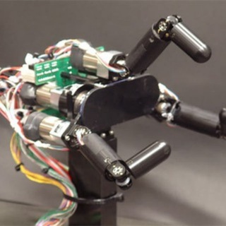 Lols Bot