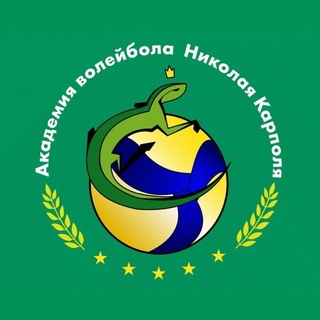 Академия волейбола Н. В. Карполя