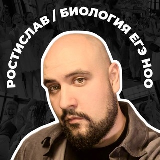 Ростислав Freedom x НОО