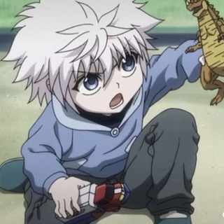 zoldyck
