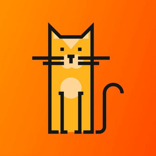 Рыжий кот
