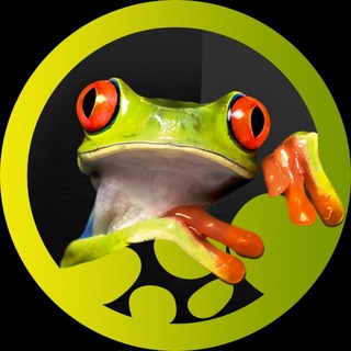 Panteric 🐸 Экзотические Животные