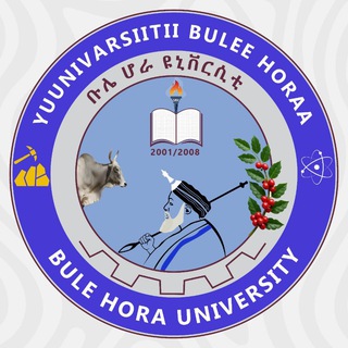 Bule Hora University
