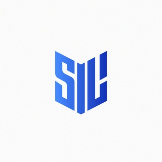 SilVPN • Обход белого списка | Happ | v2RayTun | INCY | Karing 🚀